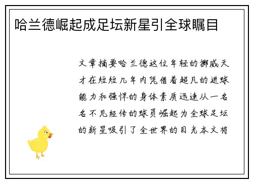 哈兰德崛起成足坛新星引全球瞩目