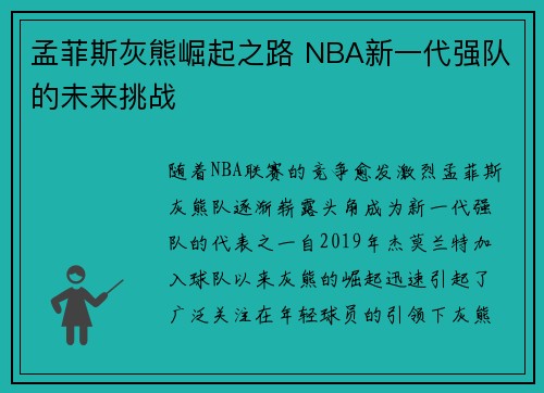 孟菲斯灰熊崛起之路 NBA新一代强队的未来挑战